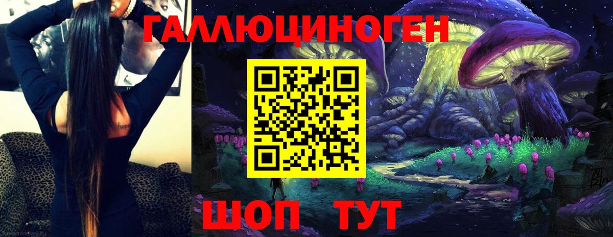 Псилоцибиновые грибы Cubensis Урай